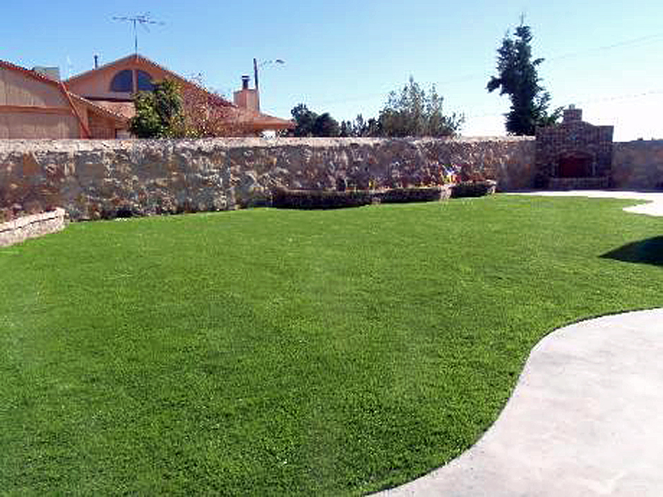 Artificial Turf Cost Sierra Vista Southeast Arizona Lawn And