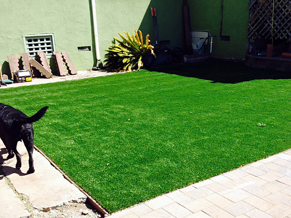 Artificial Turf Santa Cruz, Arizona Fake Grass For Dogs, Backyard Design