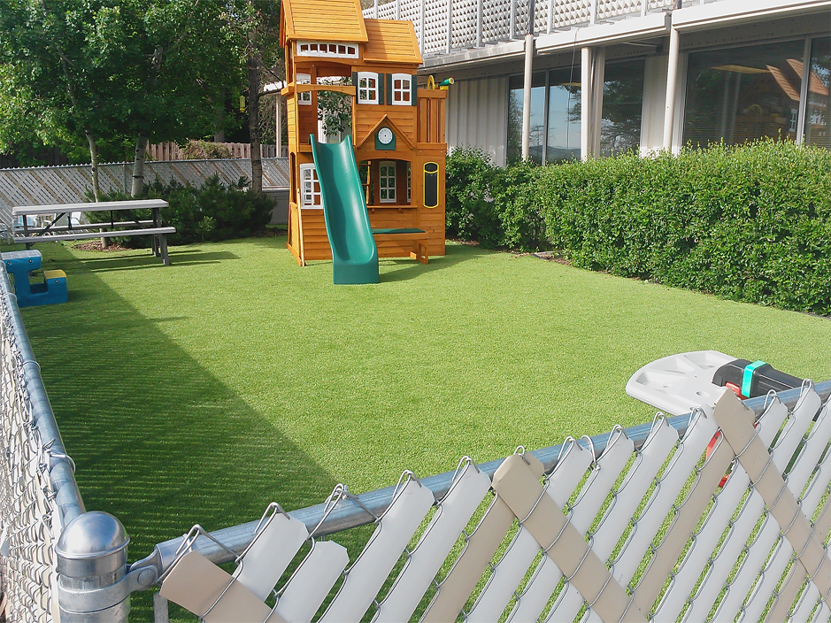 Best Artificial Grass Top Of The World Arizona Landscape Rock