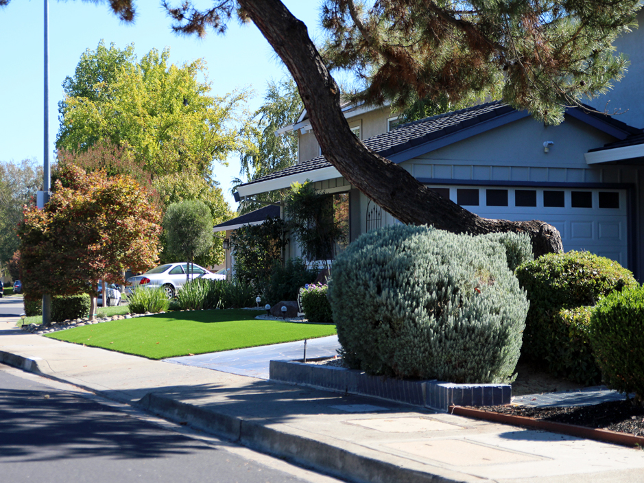 Fake Grass Carpet Arlington, Arizona Paver Patio, Front Yard Design