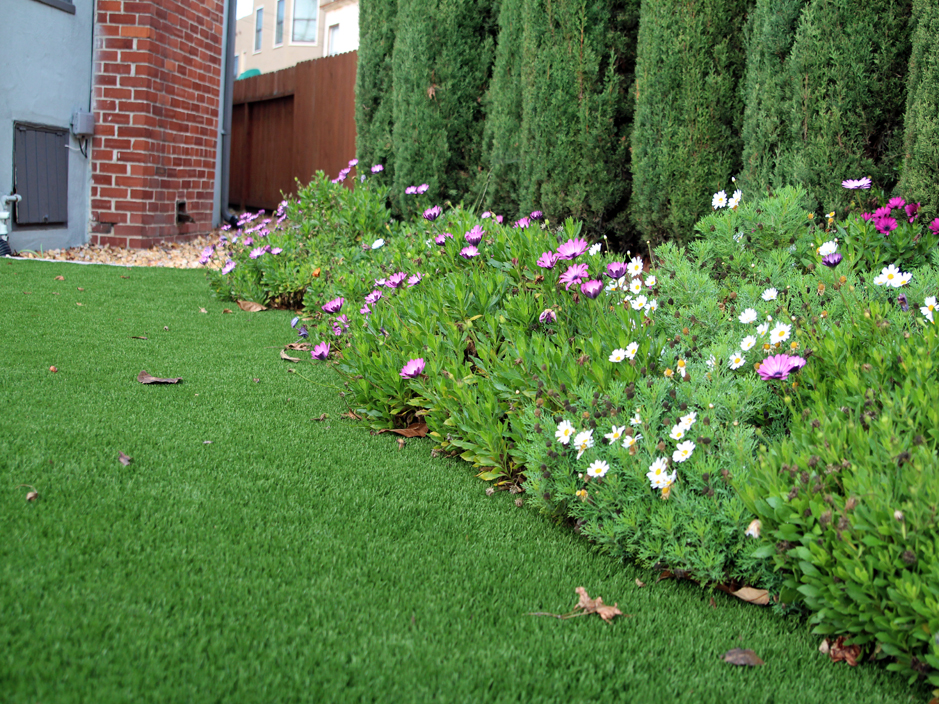 Fake Grass Carpet Tuba City, Arizona Design Ideas, Front Yard
