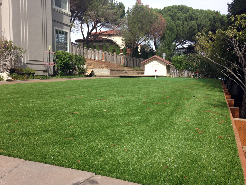 fake grass carpet indoor. grass carpet red rock, arizona best indoor putting green, backyard landscape ideas fake grass carpet indoor u