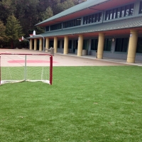 Artificial Grass Mohave Valley, Arizona Stadium, Commercial Landscape