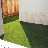 Artificial Grass San Simon, Arizona Pet Paradise, Beautiful Backyards