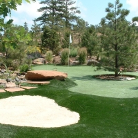 Artificial Lawn Sun Valley, Arizona Roof Top, Backyard Landscaping