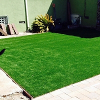 Artificial Turf Santa Cruz, Arizona Fake Grass For Dogs, Backyard Design