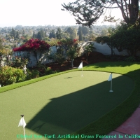 Best Artificial Grass Phoenix, Arizona Indoor Putting Greens, Backyards