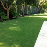 Fake Grass Carpet Mammoth, Arizona Artificial Turf For Dogs