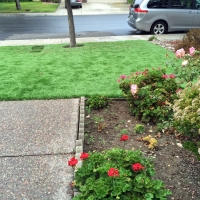 Fake Grass Duncan, Arizona Landscape Design, Front Yard Landscape Ideas