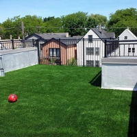 Fake Turf Prescott Valley, Arizona Indoor Dog Park, Deck