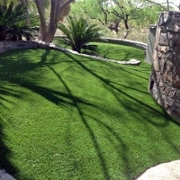 Fake Turf Tortolita, Arizona Dog Grass