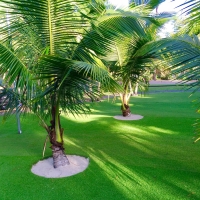 Grass Carpet Anegam, Arizona Roof Top, Commercial Landscape