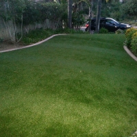 Grass Carpet Catalina, Arizona Landscape Design, Front Yard