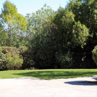 Grass Carpet Star Valley, Arizona Cat Playground, Front Yard Landscaping Ideas