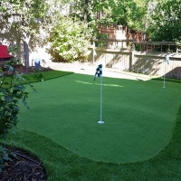 Grass Turf Komatke, Arizona Roof Top, Backyard Garden Ideas