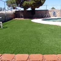 Green Lawn Kino Springs, Arizona Pet Grass, Natural Swimming Pools