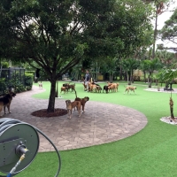 Installing Artificial Grass Katherine, Arizona Dog Parks, Commercial Landscape