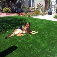 Installing Artificial Grass Three Points, Arizona Drainage, Front Yard Ideas