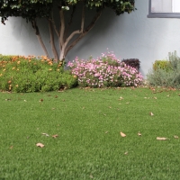 Outdoor Carpet Miami, Arizona Landscape Photos, Small Front Yard Landscaping