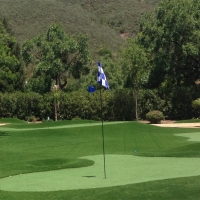 Synthetic Grass Black Canyon City, Arizona Putting Green Carpet