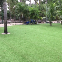 Synthetic Grass Cost San Carlos, Arizona Landscape Rock, Commercial Landscape