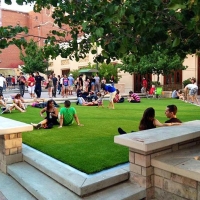 Synthetic Grass Hayden, Arizona Playground Turf, Commercial Landscape