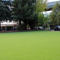 Synthetic Turf Picacho, Arizona City Landscape, Commercial Landscape