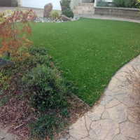 Turf Grass Tombstone, Arizona Paver Patio, Backyards