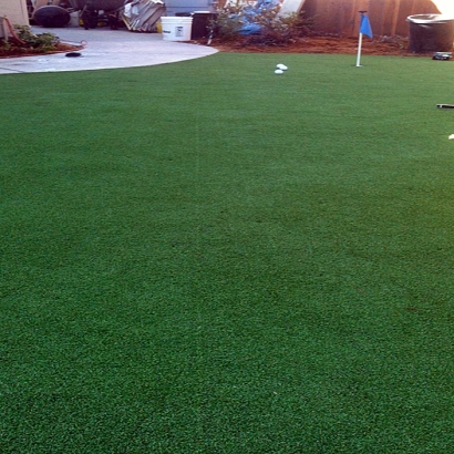 Artificial Grass Carpet Bryce, Arizona Rooftop, Backyard Design