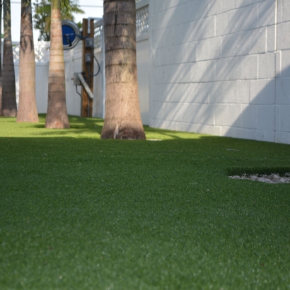 Artificial Grass Installation Bear Flat, Arizona Lawn And Landscape, Commercial Landscape