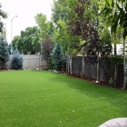 Artificial Grass Installation Douglas, Arizona City Landscape, Backyard Makeover