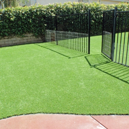 Artificial Grass Installation Queen Creek, Arizona Backyard Playground, Landscaping Ideas For Front Yard