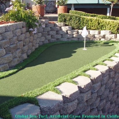 Artificial Grass Scottsdale, Arizona Rooftop, Backyard