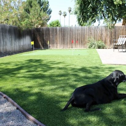 Artificial Lawn Kearny, Arizona Putting Green Carpet, Small Backyard Ideas