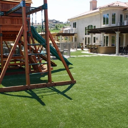 Artificial Lawn Rillito, Arizona Landscape Design, Backyards