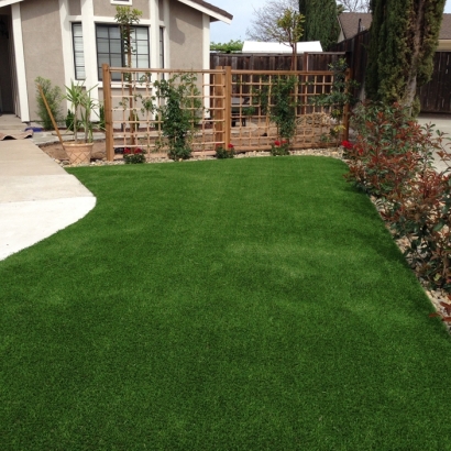 Artificial Lawn Spring Valley, Arizona Landscape Ideas, Landscaping Ideas For Front Yard