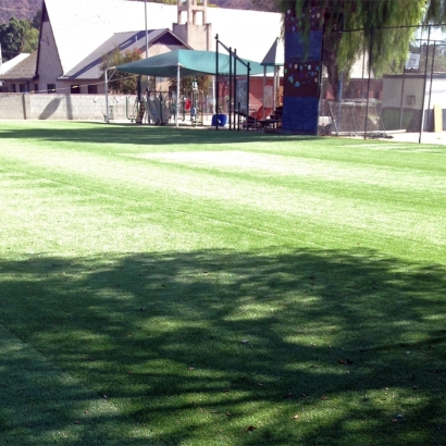 Artificial Turf Cost Canyon Day, Arizona Lawns, Recreational Areas
