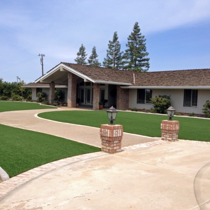 Artificial Turf Cost Picacho, Arizona Landscaping Business, Front Yard Ideas