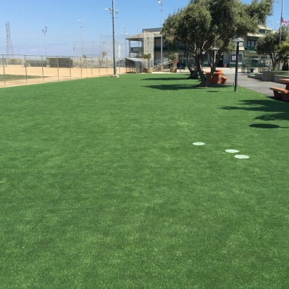 Artificial Turf Installation Cibecue, Arizona Landscape Design, Parks