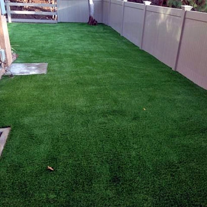 Artificial Turf Installation Franklin, Arizona Dog Park, Backyard Landscape Ideas