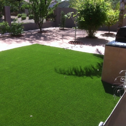 Artificial Turf Installation Mesa del Caballo, Arizona Design Ideas, Backyard Landscaping