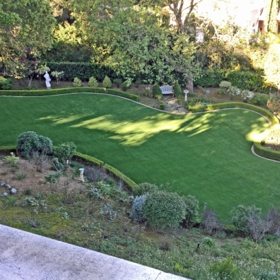 Artificial Turf Star Valley, Arizona Pictures Of Dogs, Backyard Landscaping Ideas