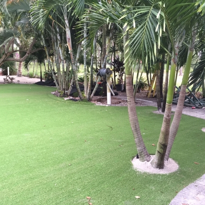 Best Artificial Grass Christopher Creek, Arizona Landscape Ideas, Commercial Landscape