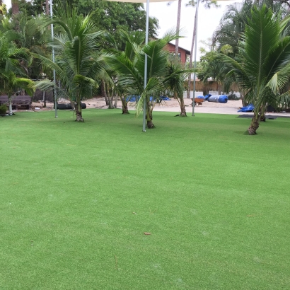 Best Artificial Grass Oracle, Arizona Lawn And Landscape, Commercial Landscape