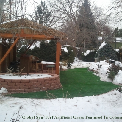 Best Artificial Grass San Tan Valley, Arizona Landscaping Business, Backyard Garden Ideas