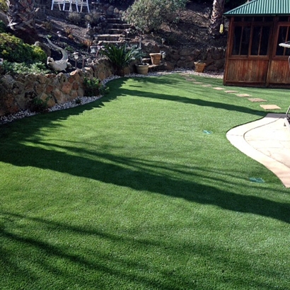 Fake Grass Carpet Cave Creek, Arizona Landscape Ideas, Backyard Garden Ideas