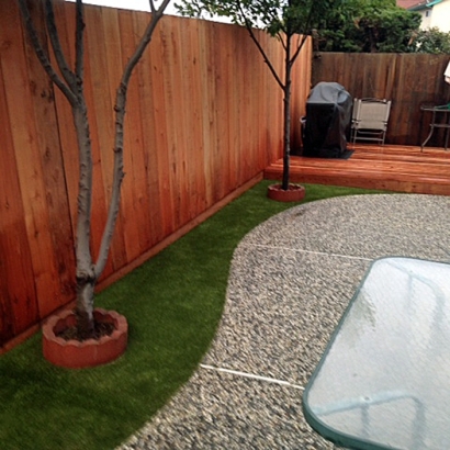 Fake Grass Carpet Cave Creek, Arizona Dog Running, Backyard Landscaping Ideas