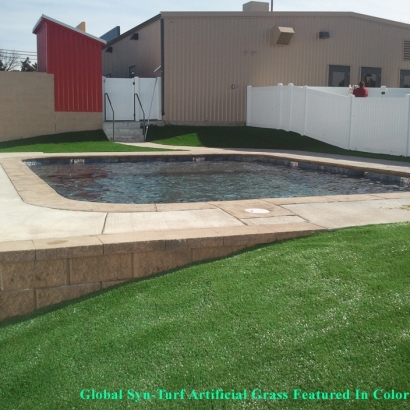 Fake Grass Carpet Glendale, Arizona Home And Garden, Above Ground Swimming Pool