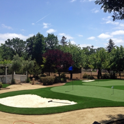 Fake Grass Cibola, Arizona Landscaping, Front Yard Landscaping