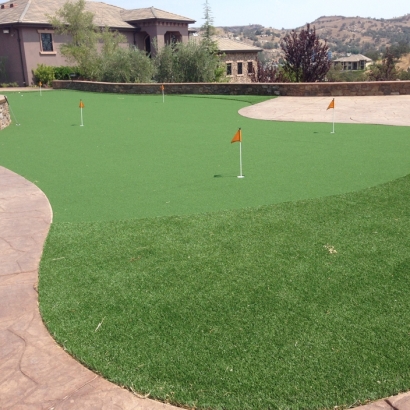 Fake Grass Eloy, Arizona Indoor Putting Greens